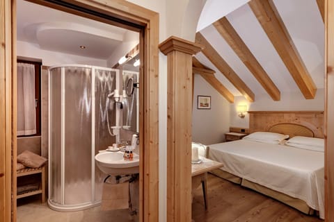 Shower, free toiletries, hair dryer, bathrobes