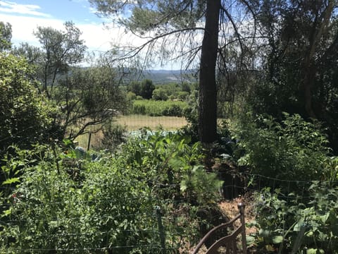 Geopod | Terrace/patio