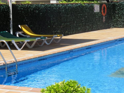 Seasonal outdoor pool, pool umbrellas, sun loungers