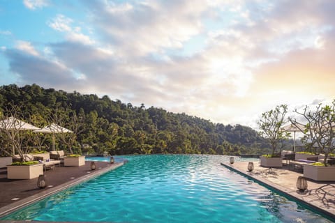 Outdoor pool, sun loungers