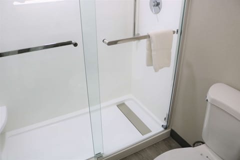 Combined shower/tub, free toiletries, hair dryer, towels