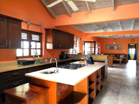 Family Apartment, 2 Bedrooms, Terrace, Ocean View | Private kitchen | Fridge, microwave, oven, stovetop