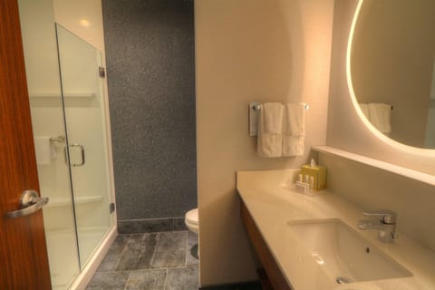 Room, 1 King Bed | Bathroom | Shower, free toiletries, hair dryer, towels