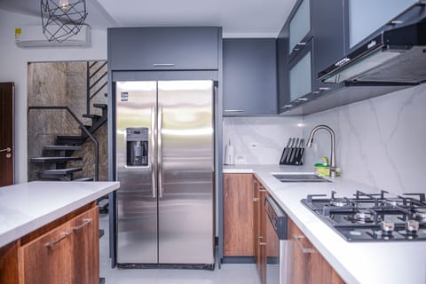 Deluxe Penthouse | Private kitchen | Full-size fridge, microwave, stovetop, coffee/tea maker