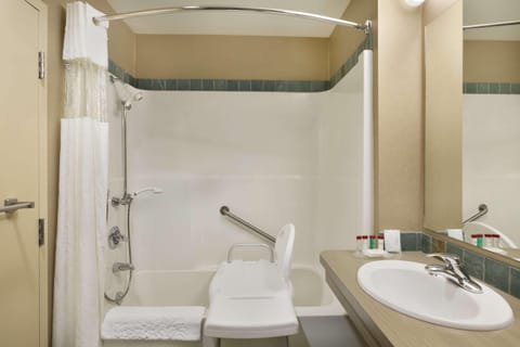 Combined shower/tub, free toiletries, hair dryer, towels