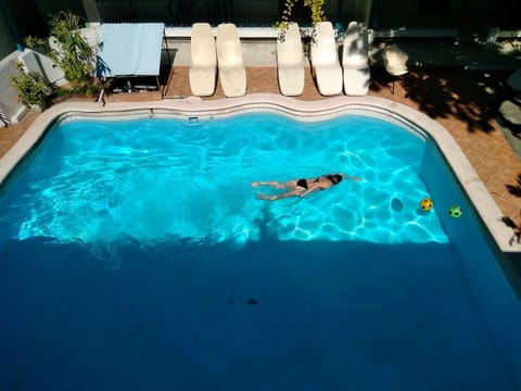 Outdoor pool, sun loungers