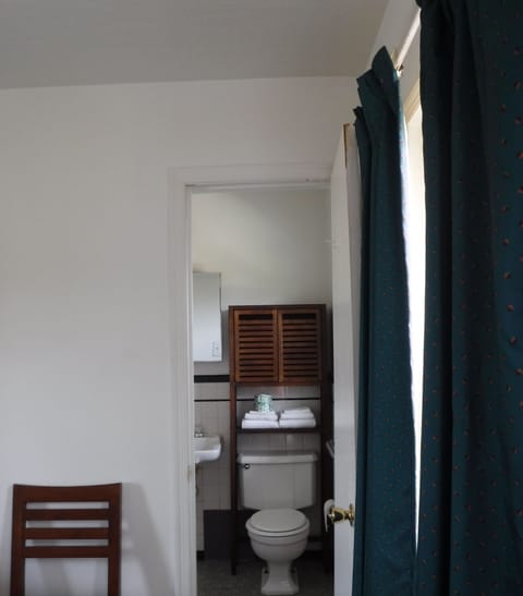 Single Room, 1 Queen Bed, Smoking | Bathroom | Shower, free toiletries, towels