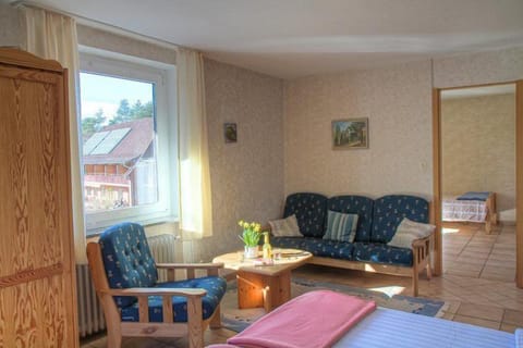 Double Room, Guesthouse Birke | Living area | 30-inch flat-screen TV with satellite channels, TV