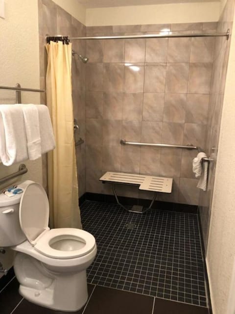 Combined shower/tub, free toiletries, hair dryer, towels