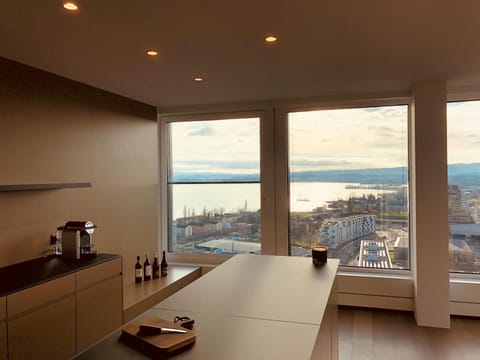 City Apartment, 2 Bedrooms, Lake View, Tower | Private kitchen | Full-size fridge, oven, stovetop, dishwasher