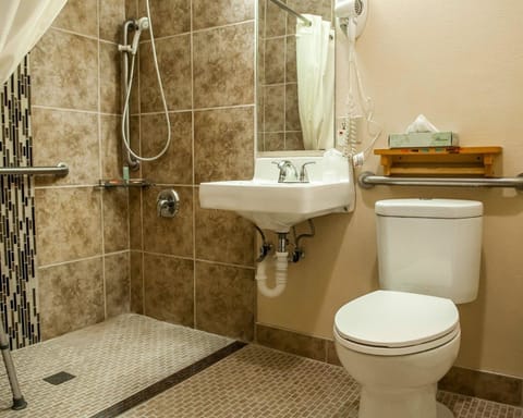 Combined shower/tub, free toiletries, hair dryer, towels