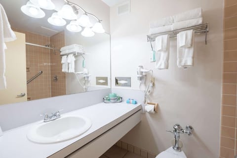 Traditional Room, 1 King Bed | Bathroom | Combined shower/tub, free toiletries, hair dryer, towels