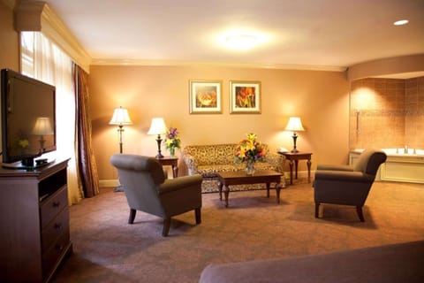 Suite, 1 King Bed, Non Smoking, Jetted Tub (with Sofabed) | In-room safe, iron/ironing board, free cribs/infant beds, WiFi