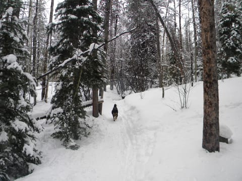 Condo, 2 Bedrooms | Snow and ski sports