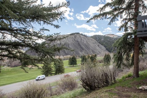 Townhome, 3 Bedrooms | Property grounds