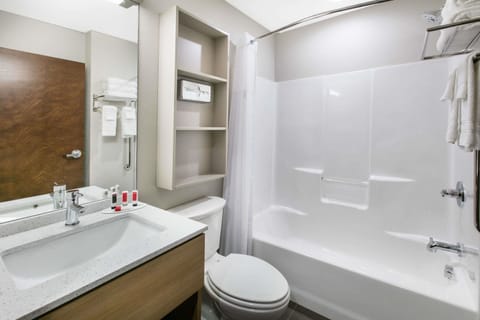 Room, 1 Queen Bed, Non Smoking, Jetted Tub | Bathroom | Combined shower/tub, free toiletries, hair dryer, towels