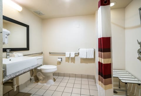 Deluxe Room, 1 King Bed, Accessible, Non Smoking | Accessible bathroom