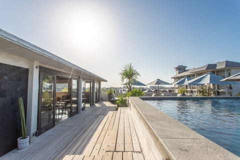 Outdoor pool, sun loungers