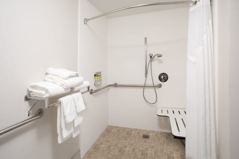 Standard Room, 1 King Bed, Accessible (Communications, Mobil, Roll-In Shower) | Bathroom | Shower, free toiletries, hair dryer, towels