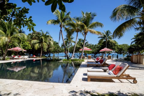 Outdoor pool, pool umbrellas, sun loungers