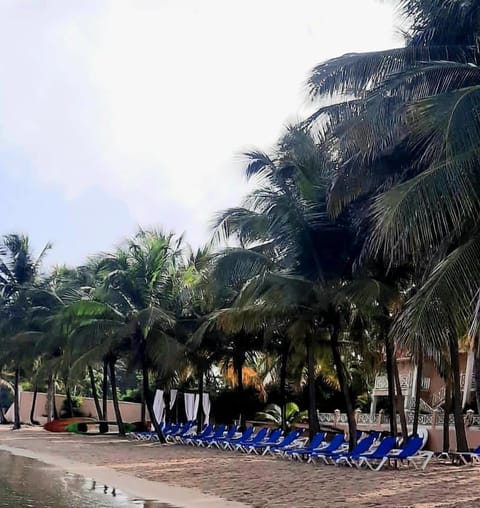 Private beach, sun loungers, beach umbrellas, beach towels