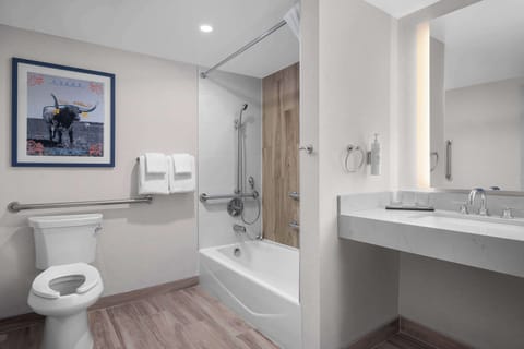 Combined shower/tub, free toiletries, hair dryer, towels