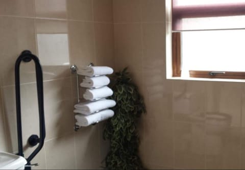 Double Room | Bathroom | Free toiletries, hair dryer, towels