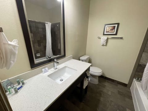 Combined shower/tub, free toiletries, hair dryer, towels