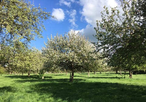 Land view from property