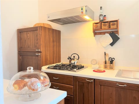 Panoramic Apartment, Garden View | Private kitchen | Full-size fridge, stovetop, dishwasher, electric kettle