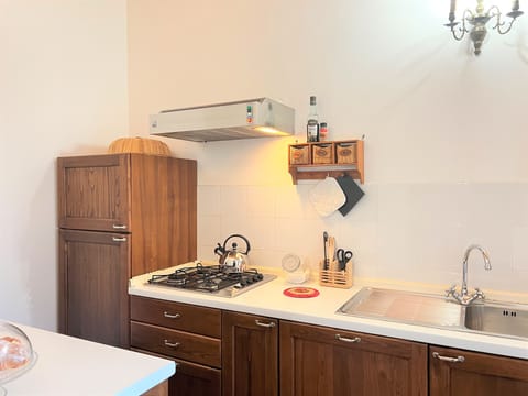 Panoramic Apartment, Garden View | Private kitchen | Full-size fridge, stovetop, dishwasher, electric kettle