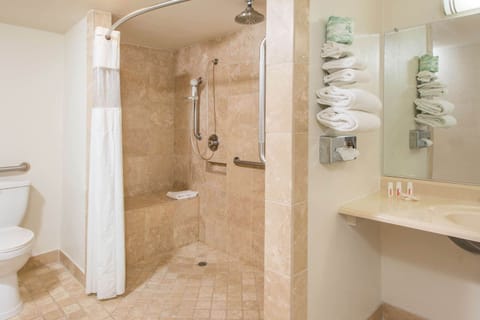 Combined shower/tub, free toiletries, hair dryer, towels