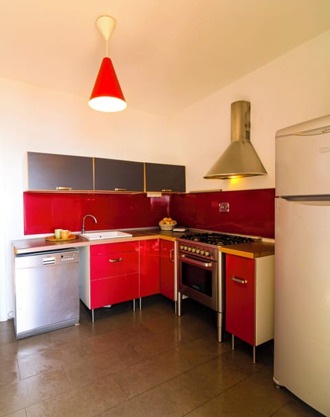 Fridge, stovetop, dishwasher, espresso maker