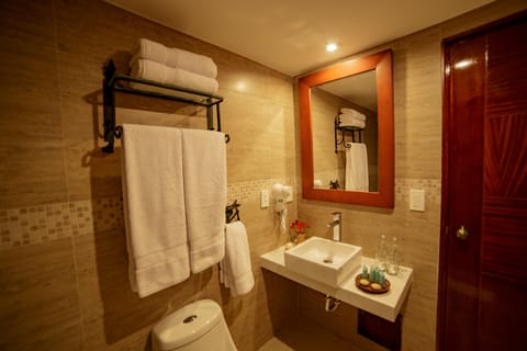 Deluxe Suite, 1 King Bed | Bathroom | Shower, rainfall showerhead, free toiletries, hair dryer