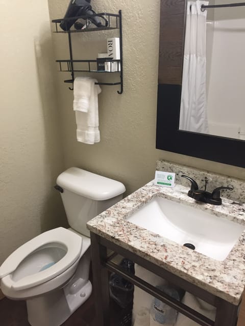 Room, 1 King Bed (Room 14) | Bathroom | Free toiletries, hair dryer, towels