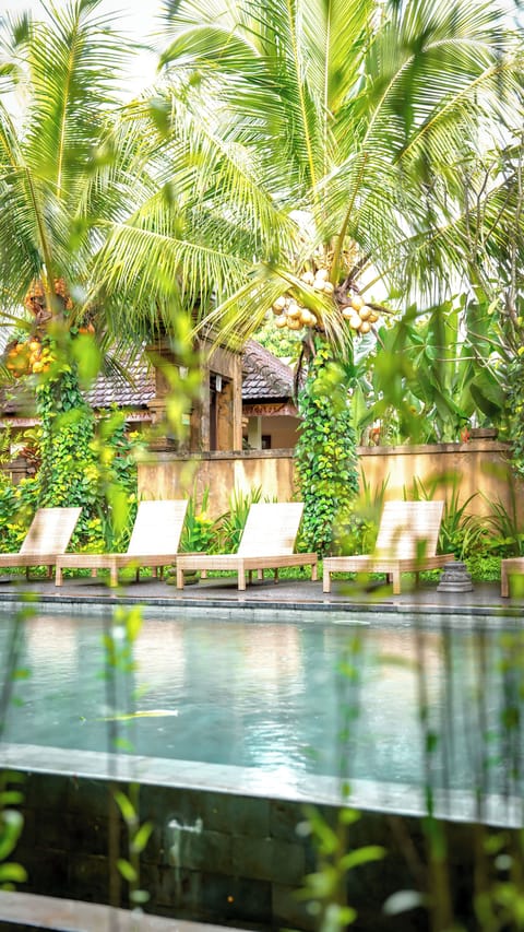 Outdoor pool, sun loungers