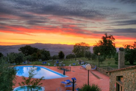 Seasonal outdoor pool, pool umbrellas, sun loungers