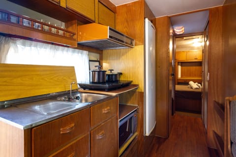 Classic Cabin, Kitchenette, Garden Area | Private kitchen | Mini-fridge