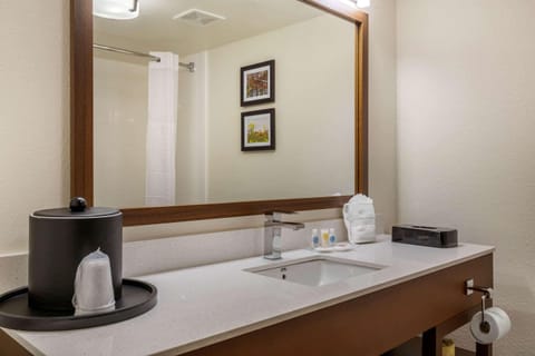 Suite, 1 King Bed with Sofa bed, Non Smoking | Bathroom | Free toiletries, hair dryer, towels