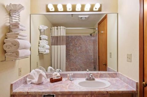 Combined shower/tub, hair dryer, towels