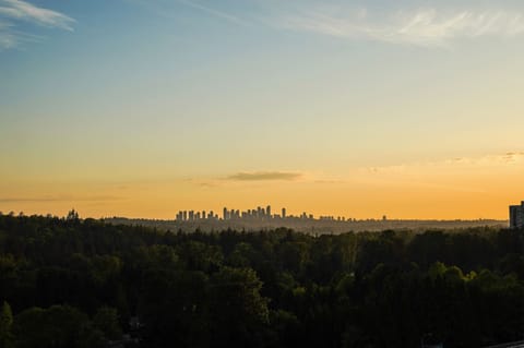 Penthouse King | Terrace/patio