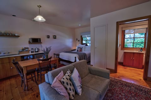 Ardlie Studio Cottage | Private kitchenette | Fridge, microwave, coffee/tea maker, electric kettle