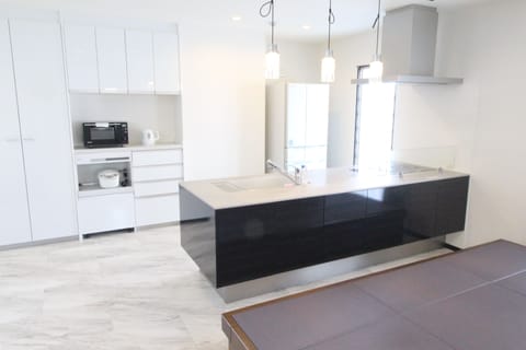 Executive Apartment | Private kitchen | Fridge, microwave, stovetop, electric kettle