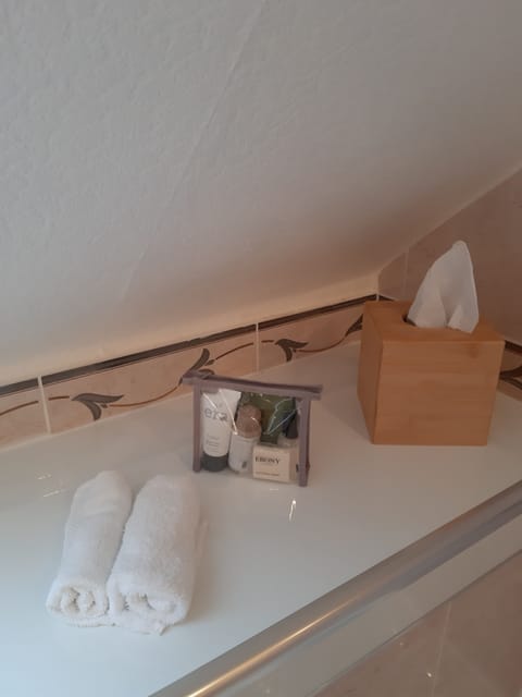 Shower, free toiletries, hair dryer, bathrobes