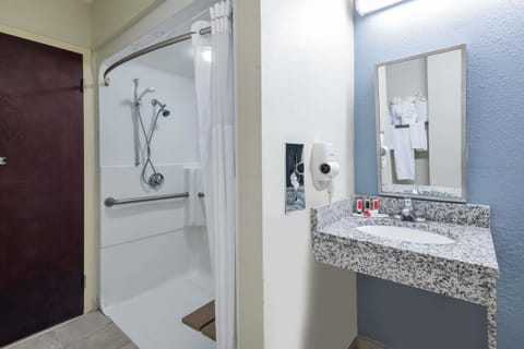 Room, Accessible | Bathroom shower