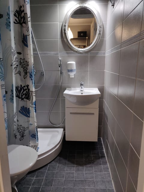 Standard Room | Bathroom | Shower, free toiletries, hair dryer, towels