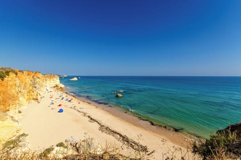 Beach nearby, white sand