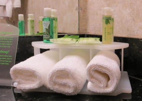 Combined shower/tub, free toiletries, hair dryer, towels