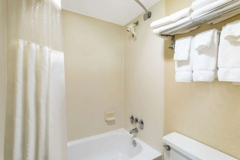 Combined shower/tub, free toiletries, hair dryer, towels