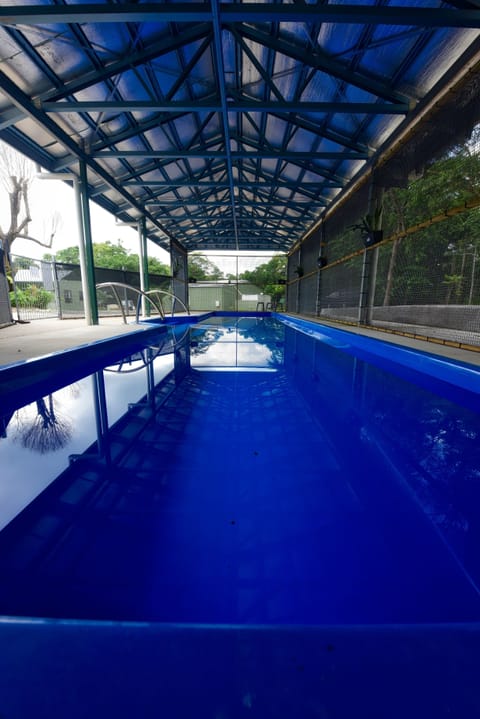 Indoor pool, outdoor pool, open 8:00 AM to 4:00 PM, sun loungers